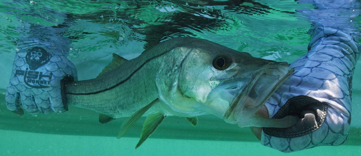 Monkey Fish Machanu Gear Up for Whitetails with Hunt Monkey – Fish Monkey Gloves