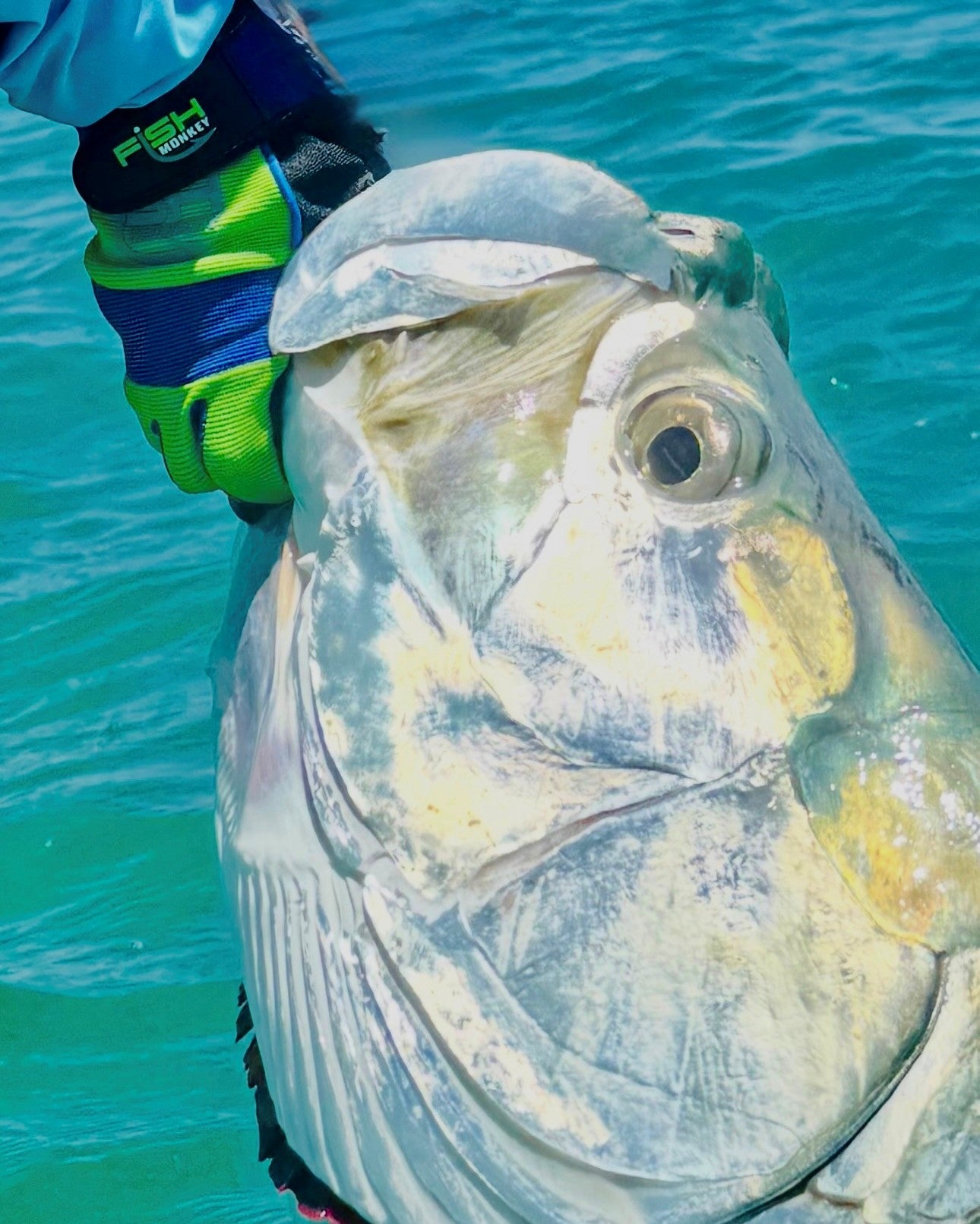 clear creek fishing gloves and poles Fish Monkey Easy Work Waterman Glove