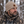 Wooly Head Heavyweight Ribbed Wool Beanie
