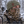Wooly Head Heavyweight Ribbed Wool Beanie