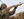 Apex Hunt Waterproof Precision Hunting Glove