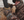 Apex Hunt Waterproof Precision Hunting Glove
